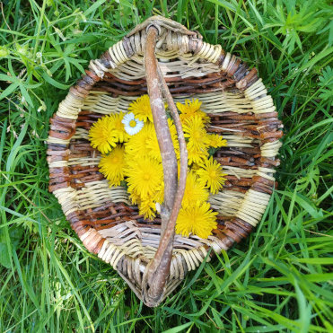 Panier sur arceaux